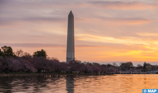 Washington accueille le printemps avec les cerisiers en fleurs