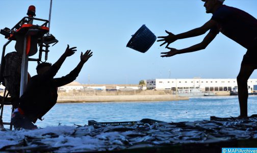 Port de Safi : Les débarquements de la pêche en repli de 16% à fin août