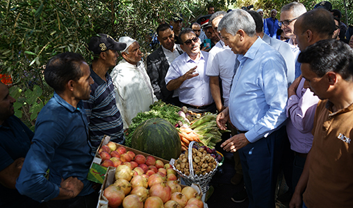 Province de Ouarzazate : M. Sadiki visite des zones agricoles impactées par le séisme