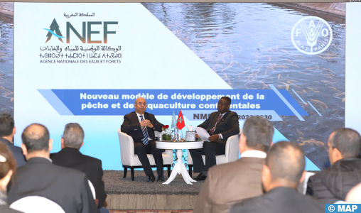 Le nouveau modèle de développement de la pêche et de l’aquaculture continentales en débat à Rabat