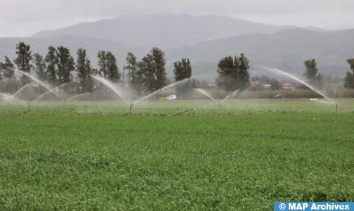 Secteur agricole : le gouvernement s’emploie à trouver des solutions novatrices pour une gestion rationnelle des ressources hydriques (M. Baitas)