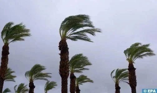 Fortes rafales de vent avec tempêtes de poussières probables ce jeudi dans plusieurs provinces du Royaume (Bulletin d’alerte)