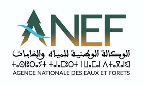 L’ANEF renforce la digitalisation du secteur forestier