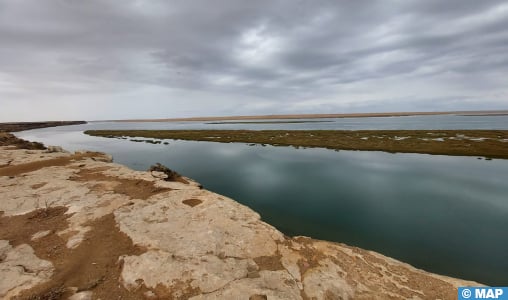 Le parc national de khenifiss, un joyau de biodiversité combinant lagune, mer et désert