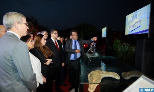 Casablanca: Ouverture de l’exposition de fossiles archéologiques restitués au Maroc à l’espace archéologique Sidi Abderrahmane