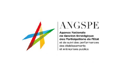 ANGSPE : Le Conseil d’Administration délibère sur le projet de politique actionnariale de l’Etat