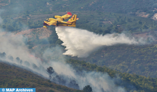 Taza: 30 hectares de couvert forestier ravagés par le feu
