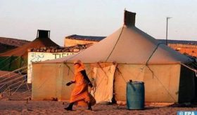 ONU: Des pétitionnaires internationaux dénoncent à New York l’enrôlement militaire d’enfants dans les camps de Tindouf