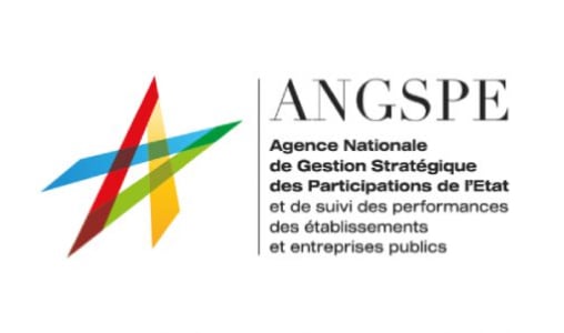 L’ANGSPE lance un dispositif de pilotage de la performance des Établissements et Entreprises Publics