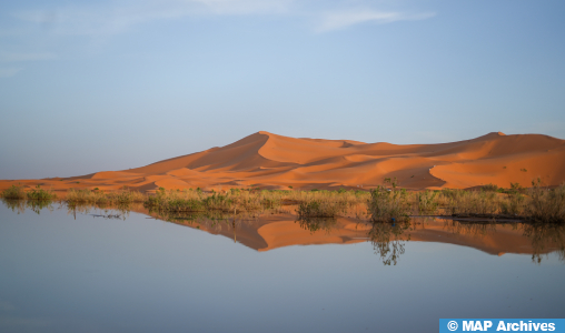 CNEWS s’émerveille des «incroyables images des dunes du Sahara marocain» parsemées d’arbres et de lacs après les fortes pluies de septembre