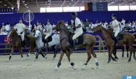 Le Horse-Ball: mi-basket, mi-rugby…à dos d’un cheval