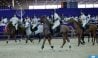 Le Horse-Ball: mi-basket, mi-rugby…à dos d’un cheval