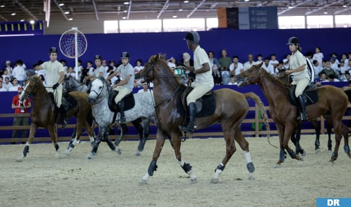 Le Horse-Ball: mi-basket, mi-rugby…à dos d’un cheval