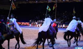 Salon du cheval d’El Jadida : un évènement incontournable dédié à la promotion de la filière équine et la valorisation du patrimoine immatériel