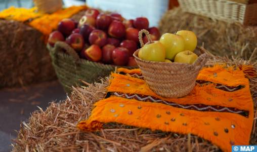 A Midelt, la pomme procure revenus, festivités et débats