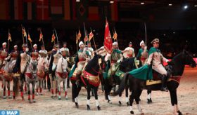 Le Salon du cheval d’El Jadida, une vitrine du riche patrimoine national équin