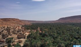 L’oasis d’Ouled Chaker, un éden de la nature et du patrimoine