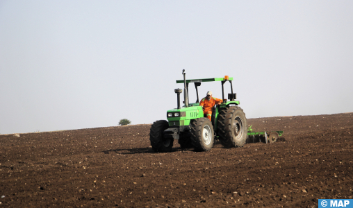 Province d’El Jadida : Coup d’envoi sous de bons auspices de la saison agricole à Ouled Frej