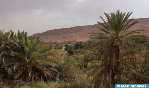 SIDATTES : Mise en lumière du rôle de la recherche scientifique dans le renforcement de la résilience des oasis