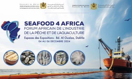 الجامعة الوطنية لصناعات تحويل وتثمين السمك تنظم منتدى “2024 Seafood 4 Africa” من 4 إلى 6 دجنبر بالداخلة