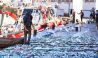 Port de Mehdia: baisse de 33% des débarquements de la pêche côtière et artisanale à fin mai (ONP)
